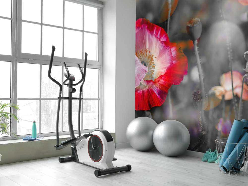 Valmuer i svart, hvitt, rødt