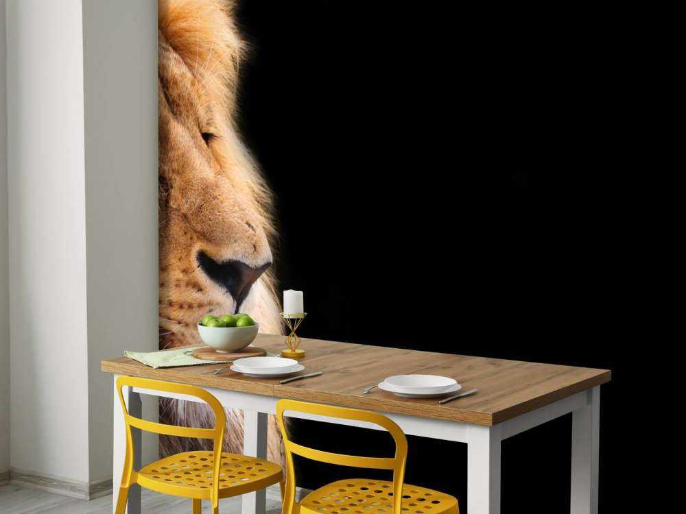 løve på nært hgammel