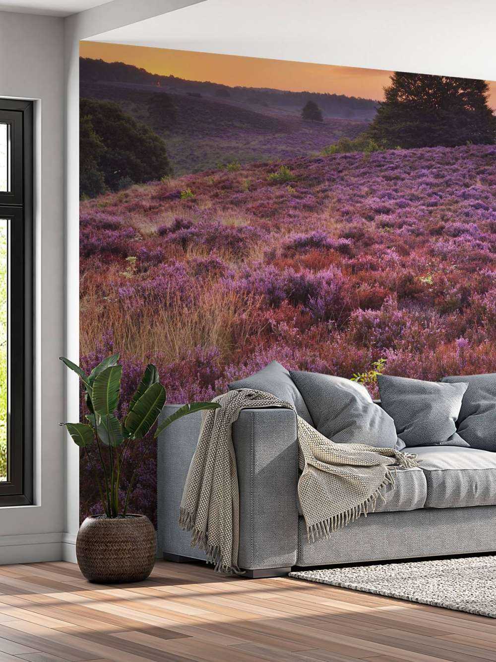 solnedgang i Posbank