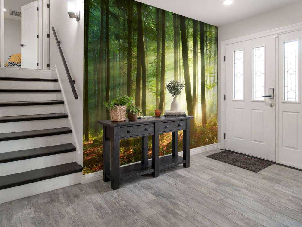 Morgensol blant trærne