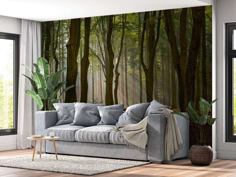 Solstråler på sti gjennom skogen