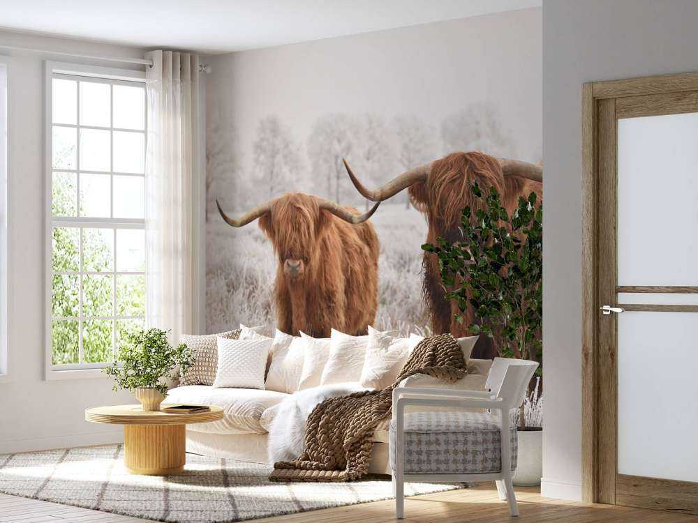 Vinter Høylandskveg