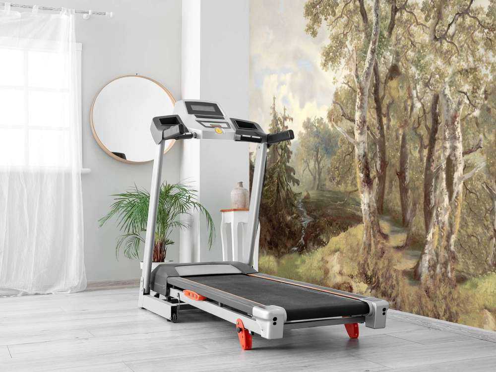 Skoglandskap Farge Panorama