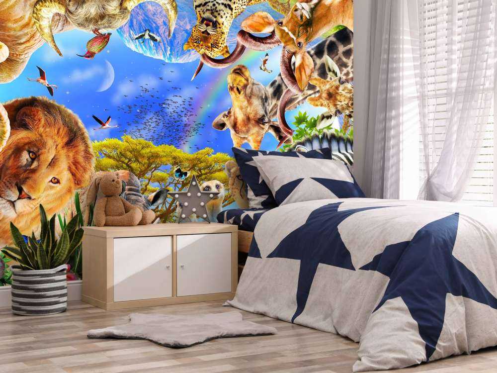 360o African Animals