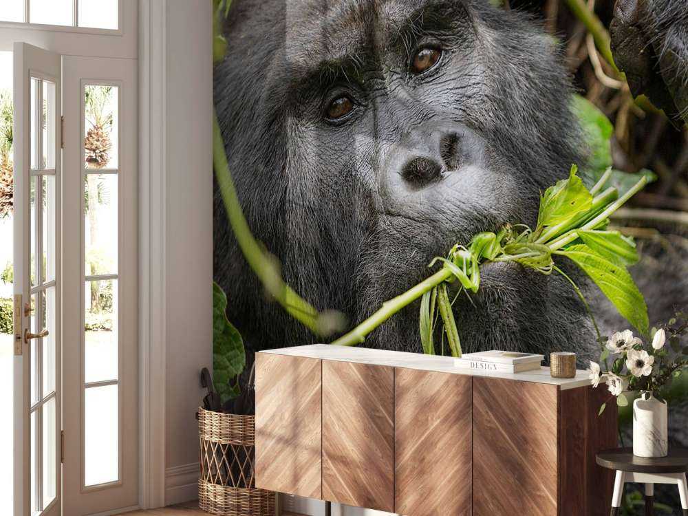 Gorilla mellom grenene