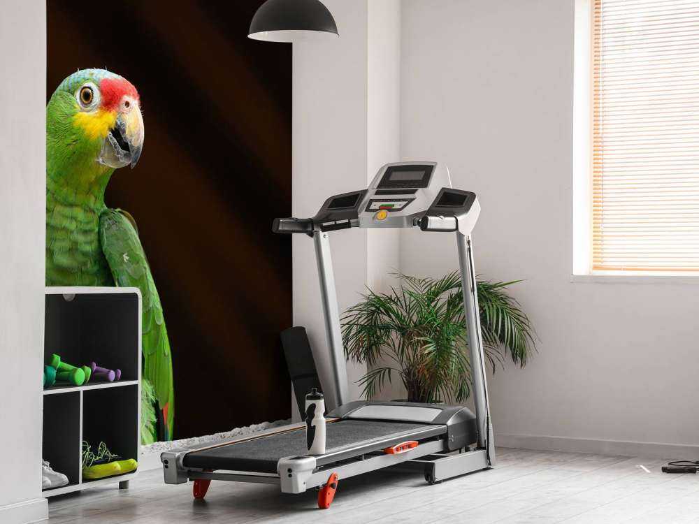 nysgjerrig papegøye