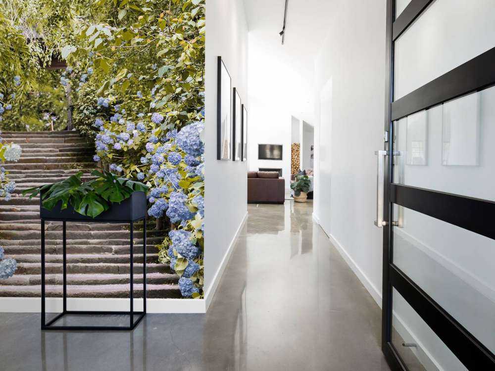 Blå blomster i en park