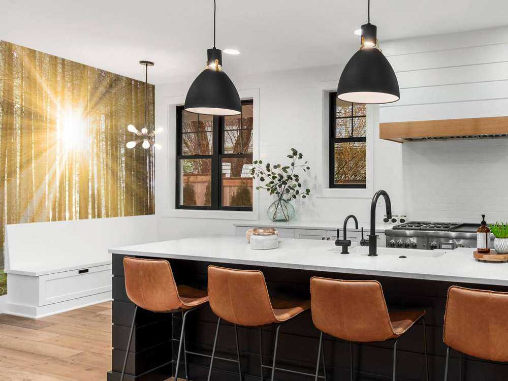 Fyrreskov med solskin