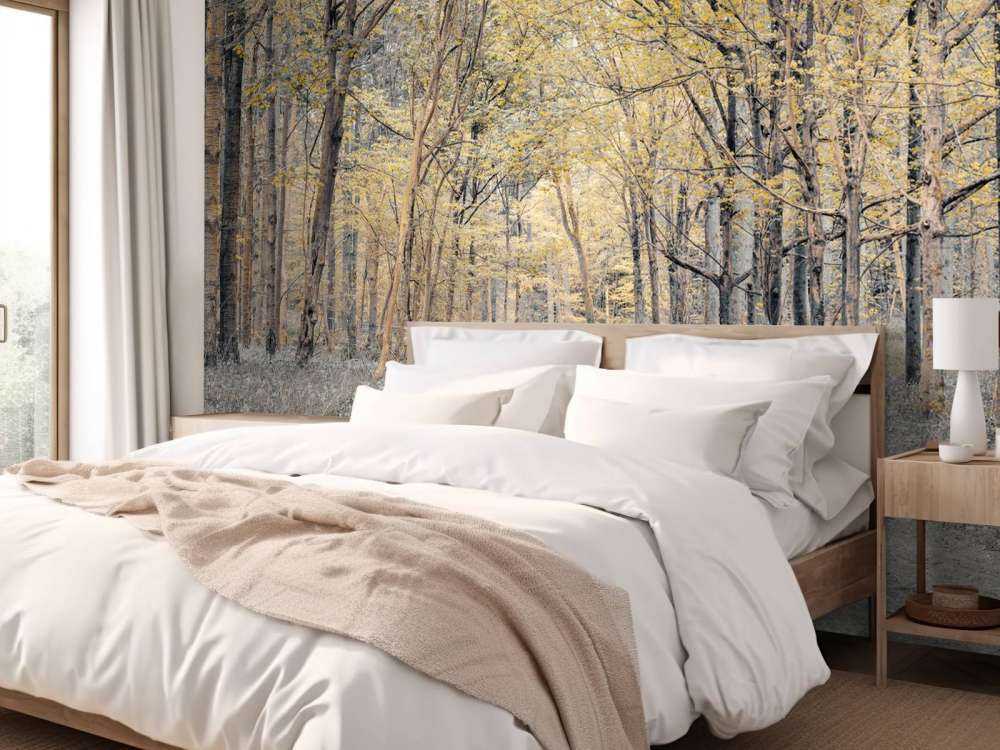 Skovvej i efteråret