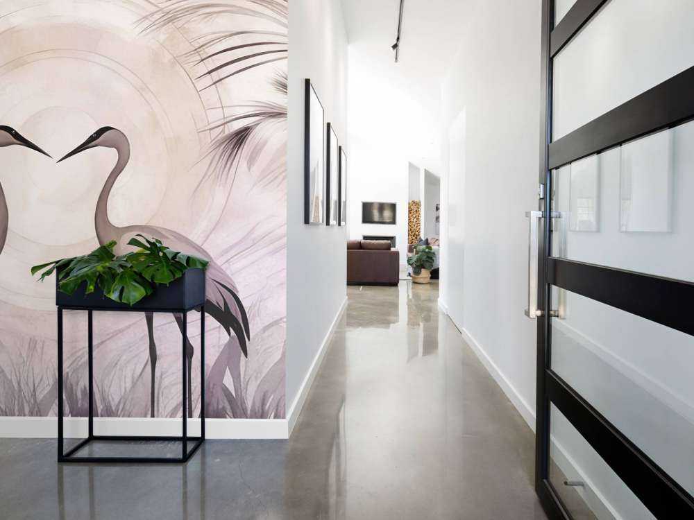 Kraner ved solnedgang grå