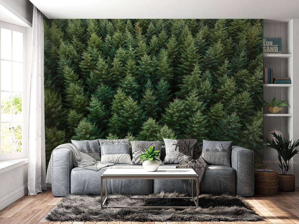 Douglasgran fra oven