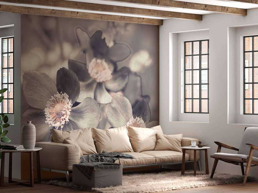 Anemone blomst
