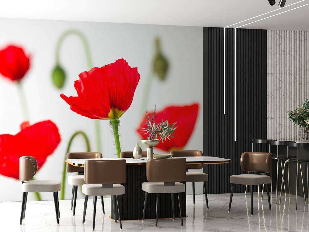 Nærbillede af røde valmuer