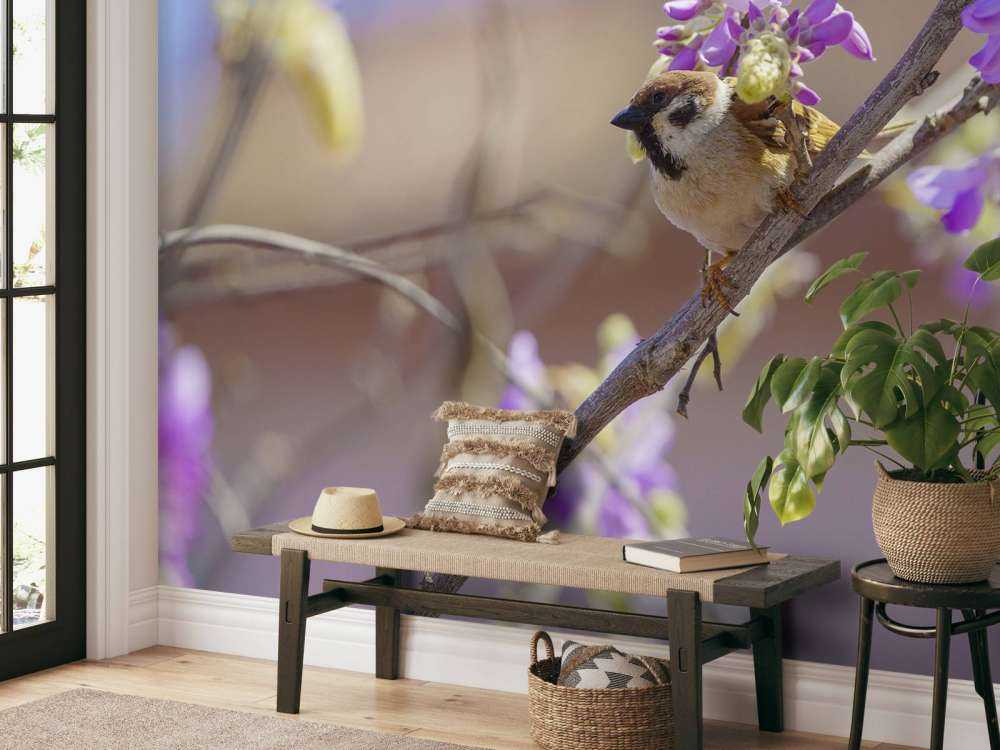 Mus og lilla blomster