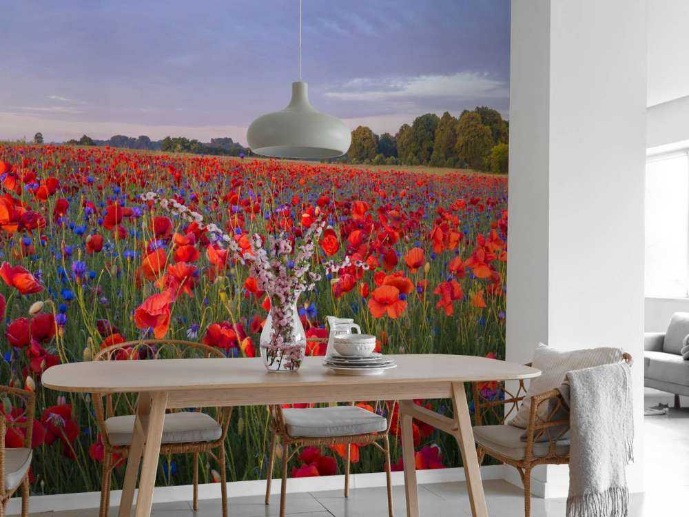 Blå blomster og røde valmuer