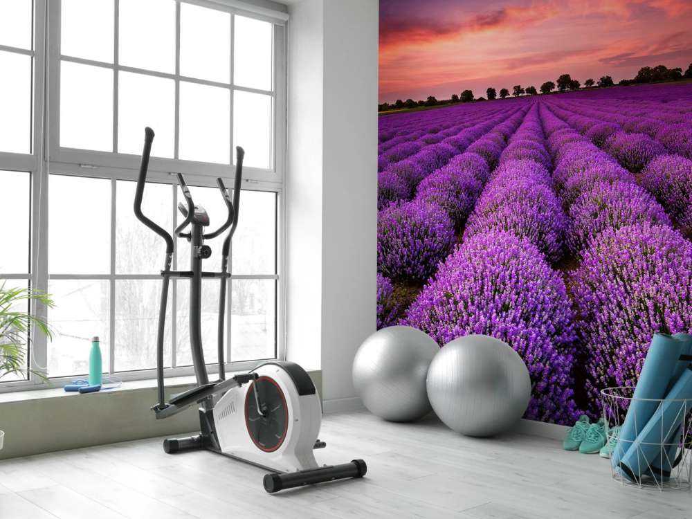 Lavendel felt