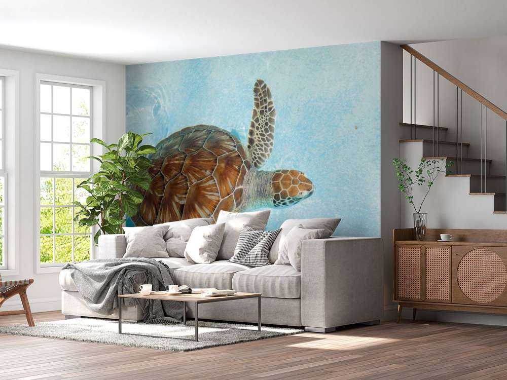 Skildpadde i vandet