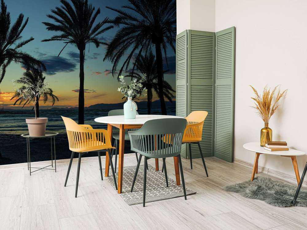 Palmer ved solnedgang