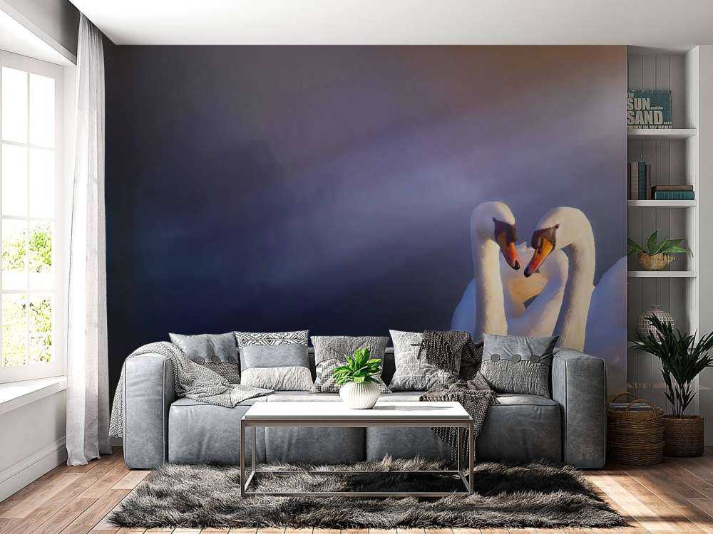 Elsker par hvide svaner