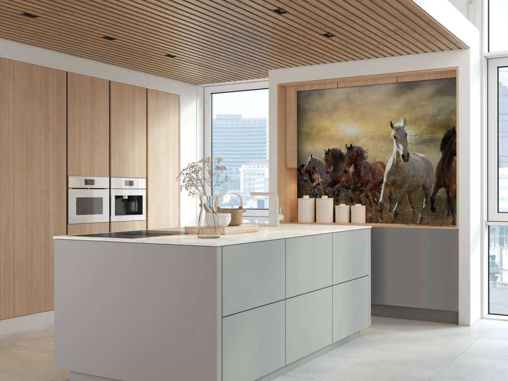 Galopperende heste ved solnedgang