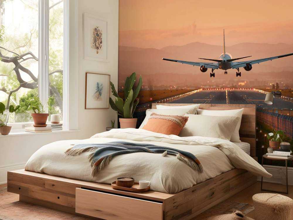 Landingsfly i aftensolen