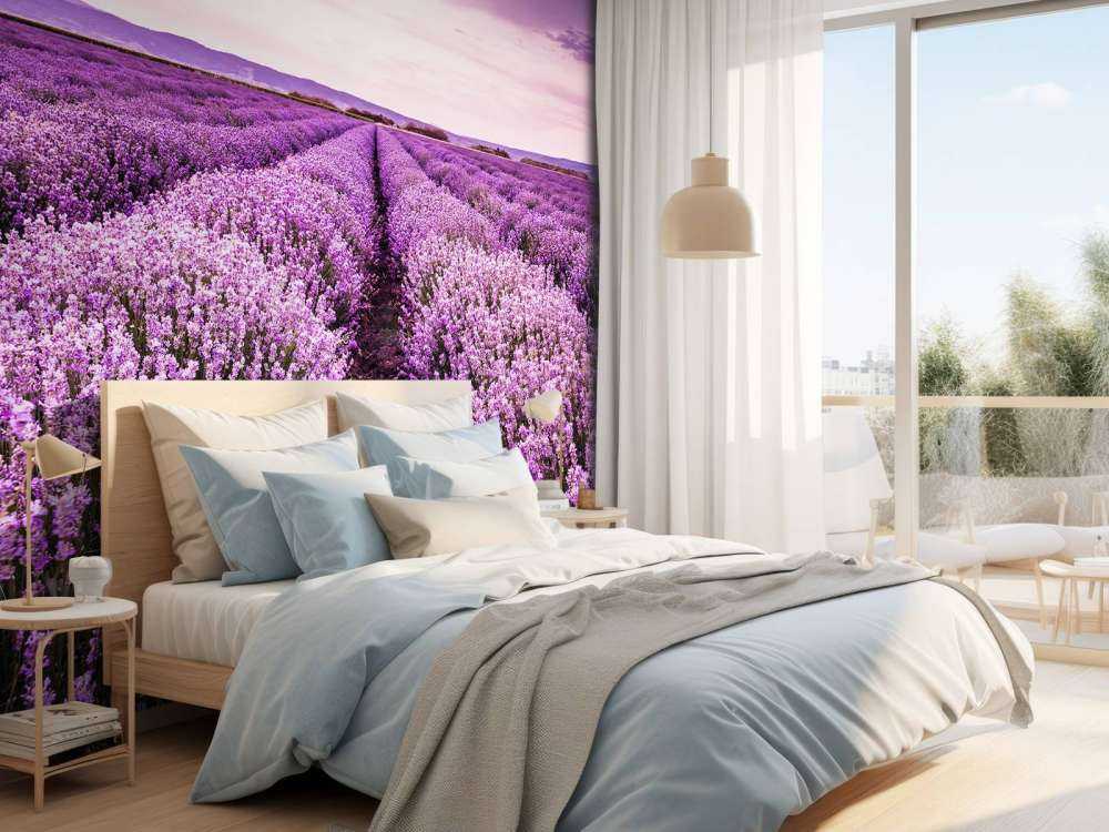 Lavendel buske