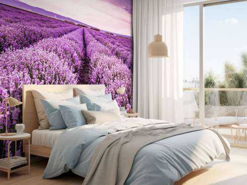 Lavendel buske