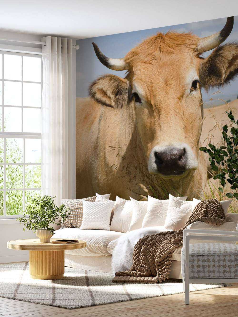 Ko med horn