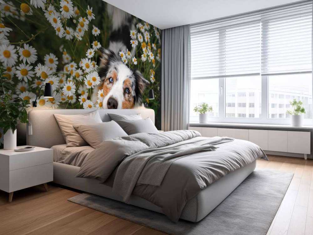 Australsk hyrde blandt blomster