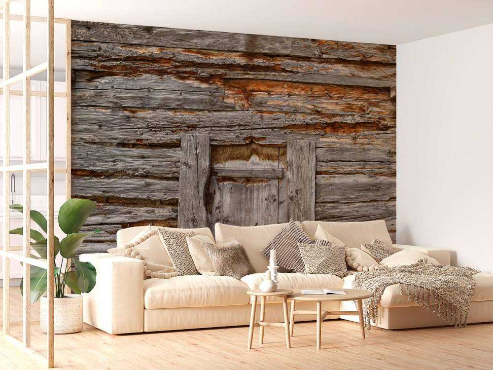 Gammelt træ med dør