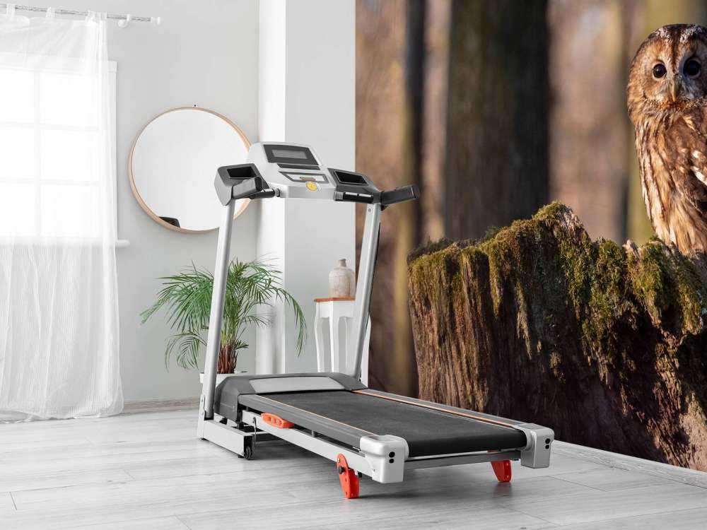 Lille ugle på et nedbrudt træ