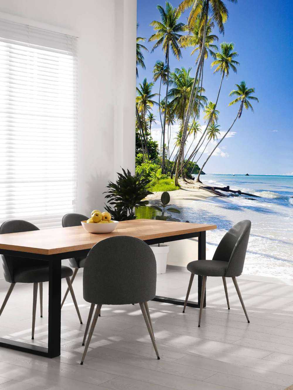 Nordkysten af Trinidad