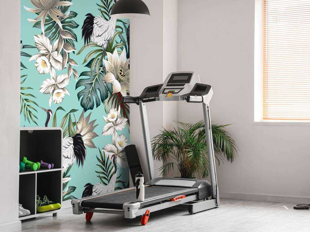 Kraanvogels en papegaaien