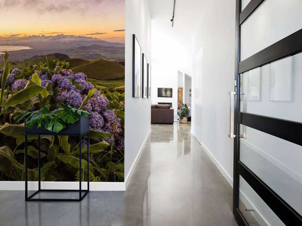 Solnedgång med hortensior