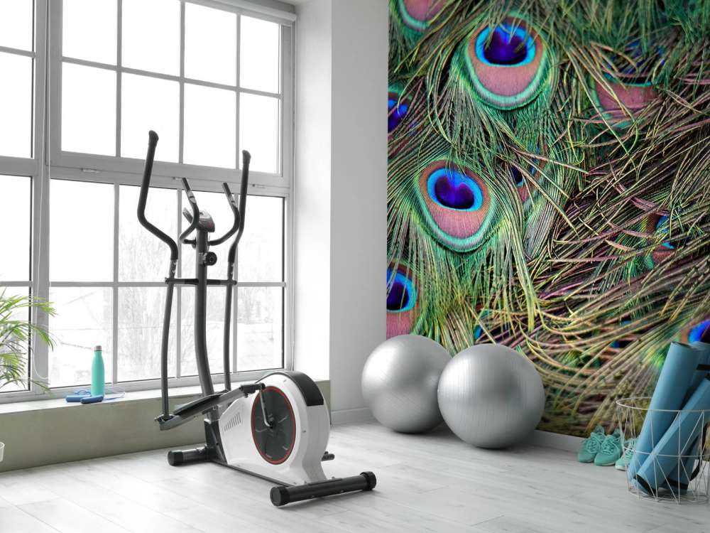 Närbild påfågelfjädrar