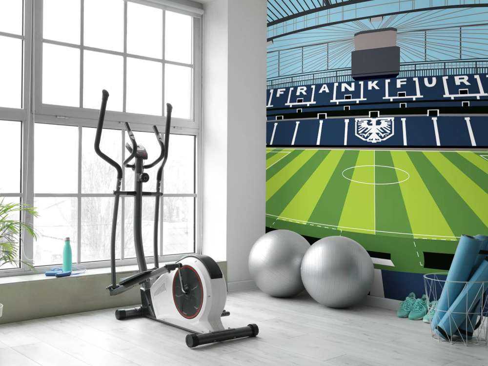 Deutsche Bank Park - Eintracht Frankfurt