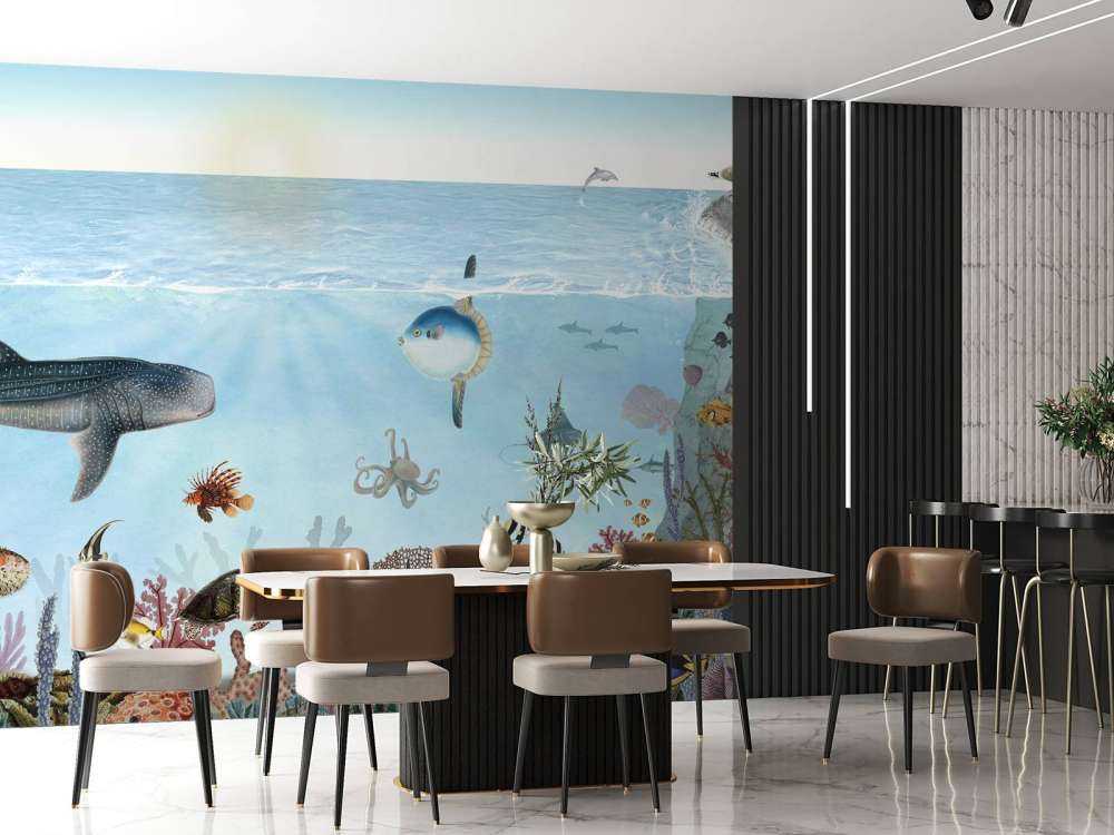 Ocean Lookbook