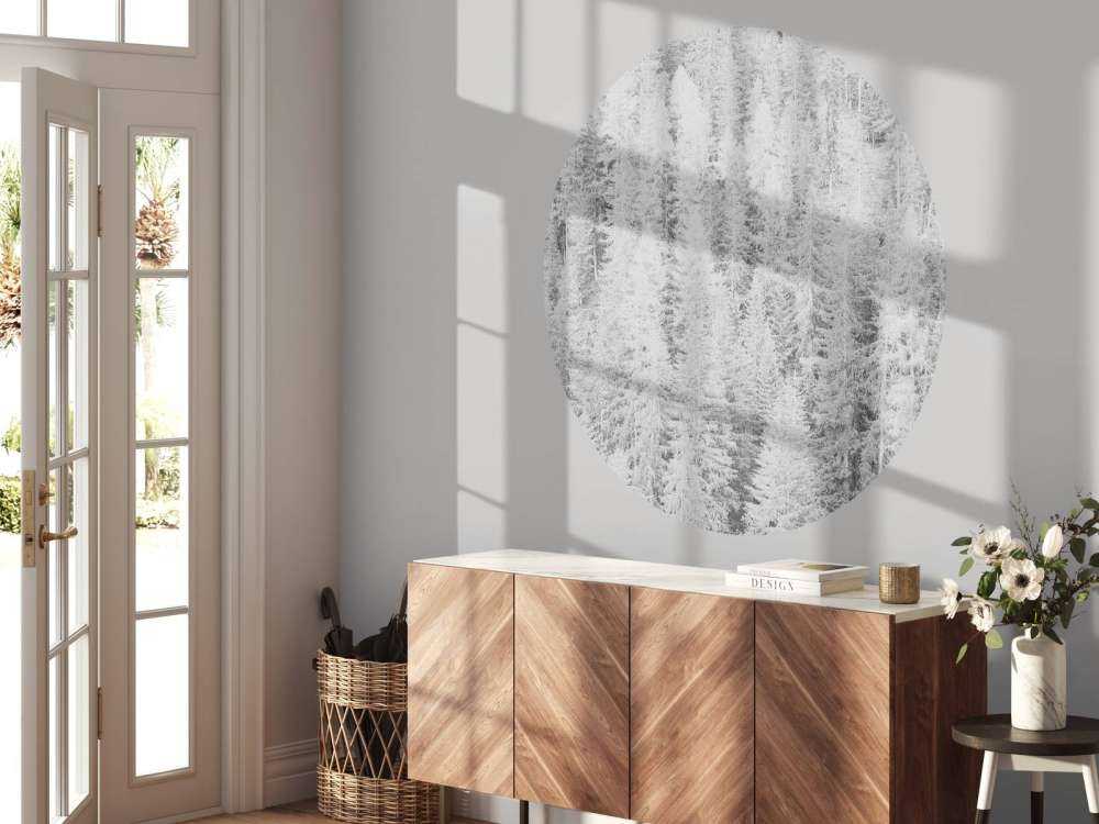 Barrträd i svart och vitt