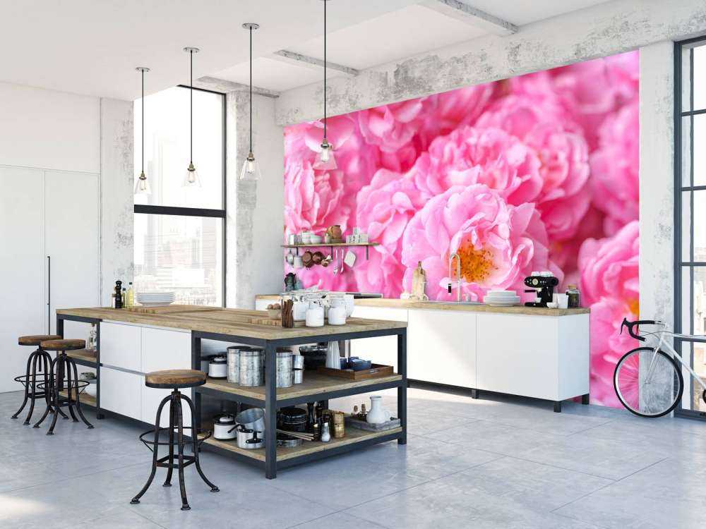 Flera rosa rosor