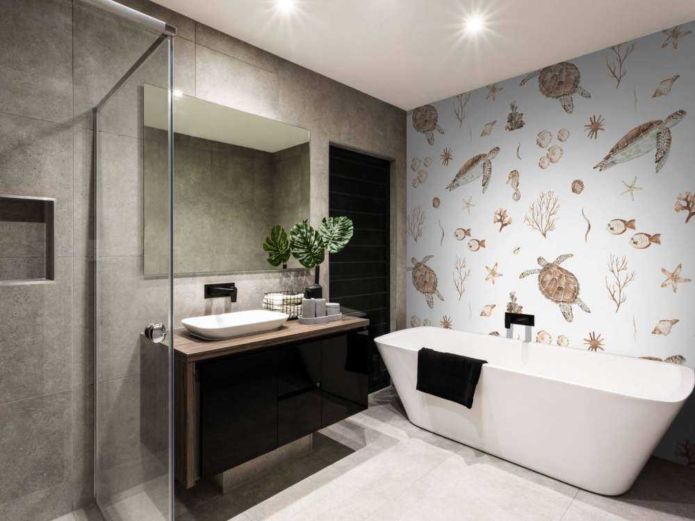 Snäckor och havsdjur