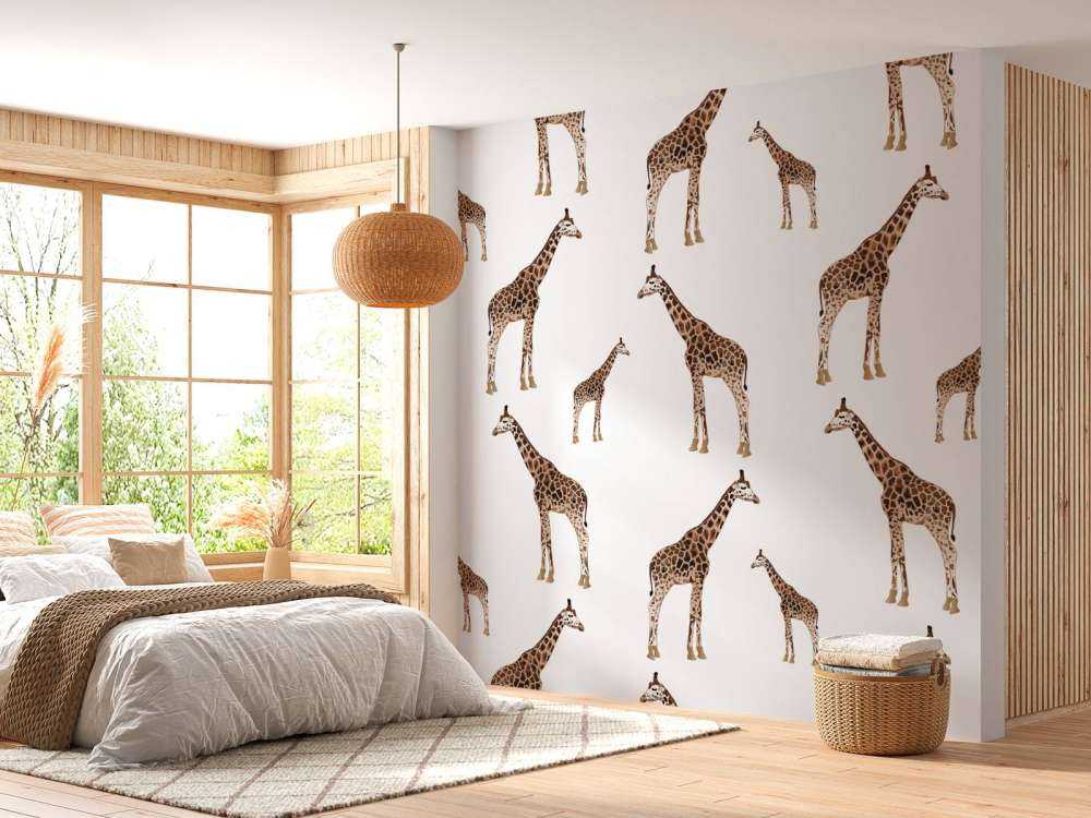 Giraffer
