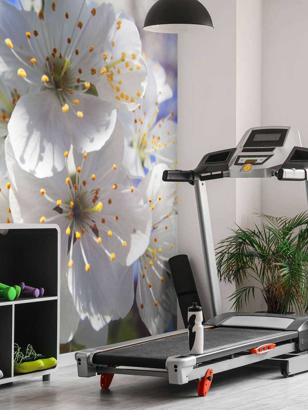 Närbild av vita blommor