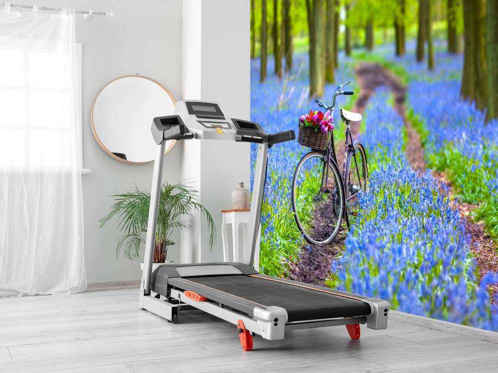 Cykel i skogen
