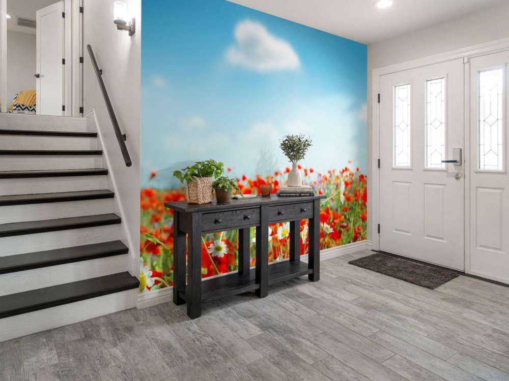 Vallmor och prästkragar