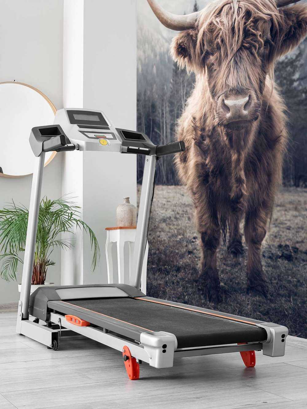 Skotsk hoglandare vid skogen