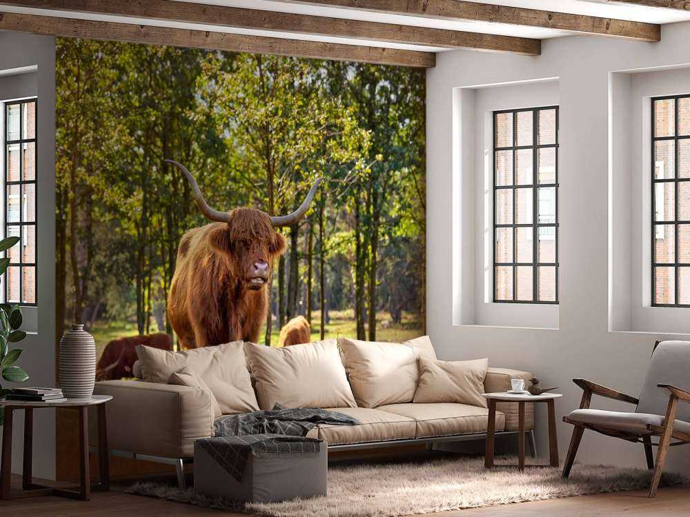 hoglandare i naturreservat