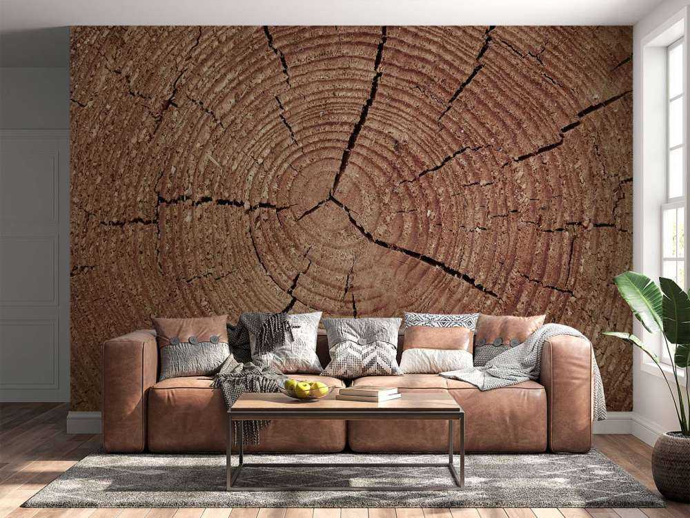 Bagage med årsringar