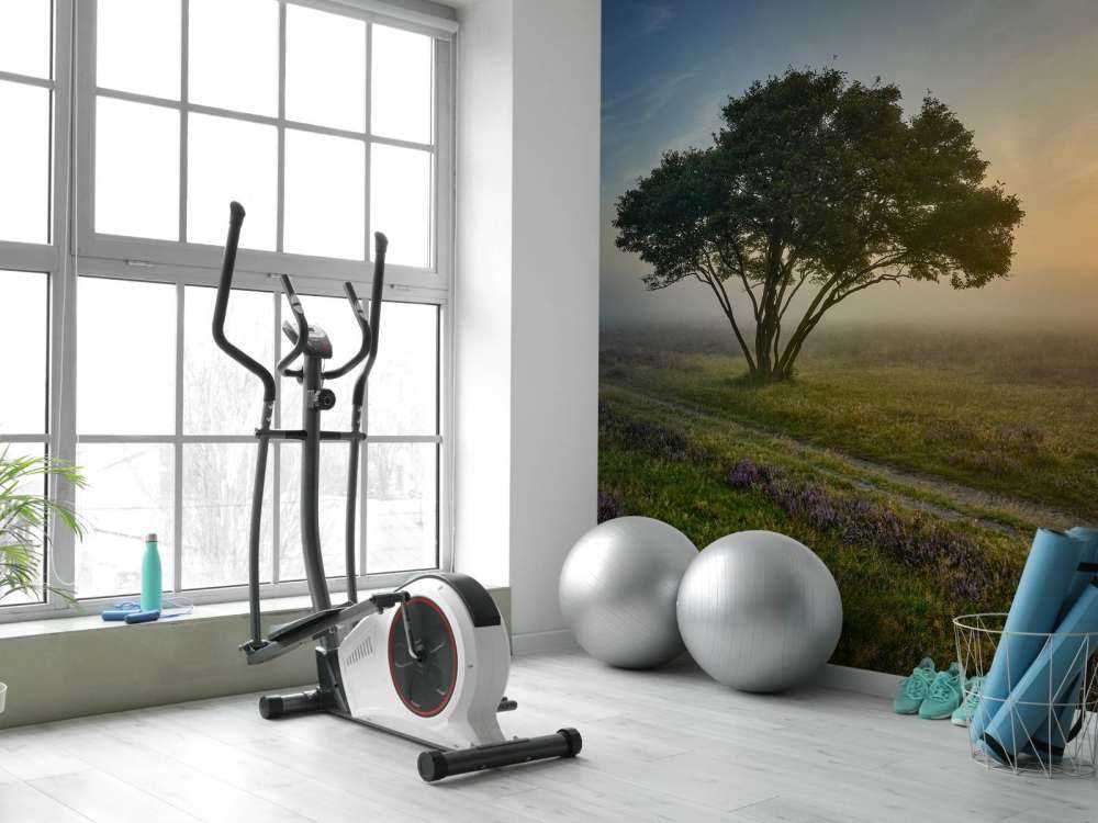 Soluppgång på heden