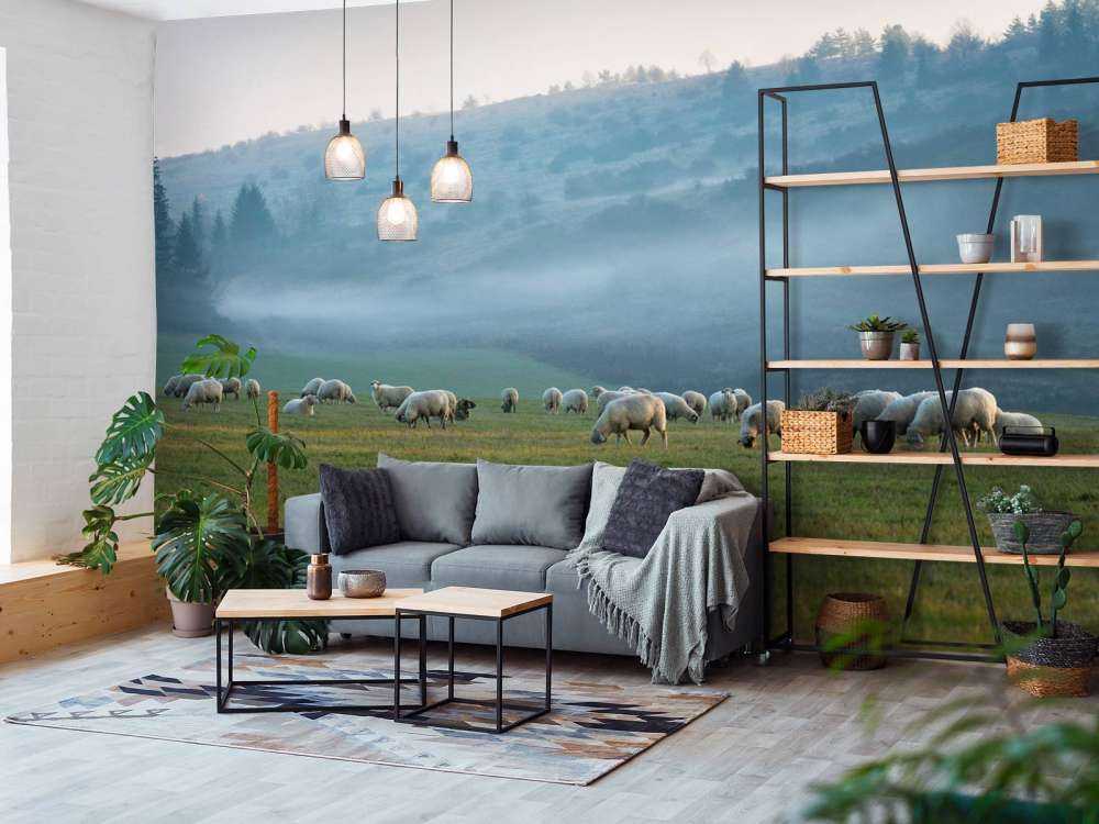 Fårflock i dimmigt landskap