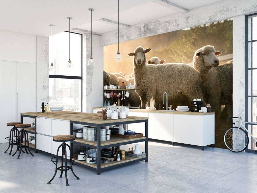 Fårflock med gyllene timme